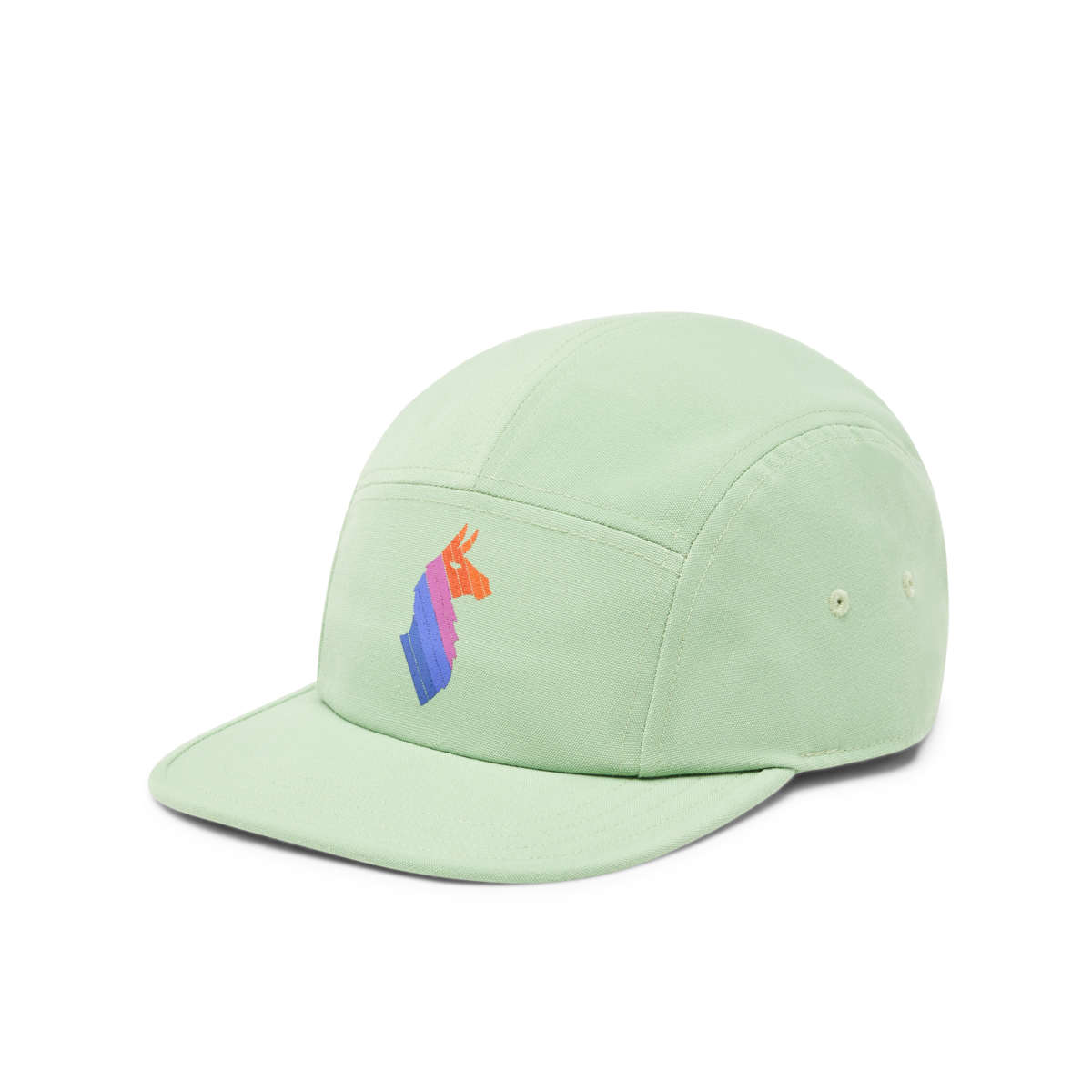 Llama Stripes 5 Panel Hat