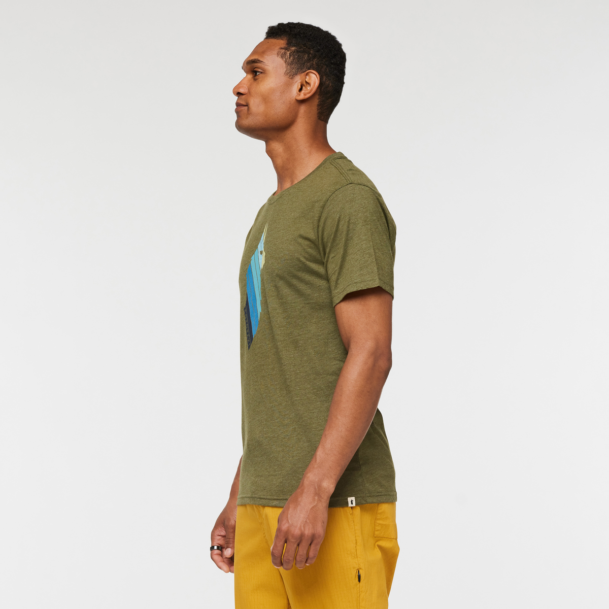 Llama Stripes T Shirt Men's - Image 8
