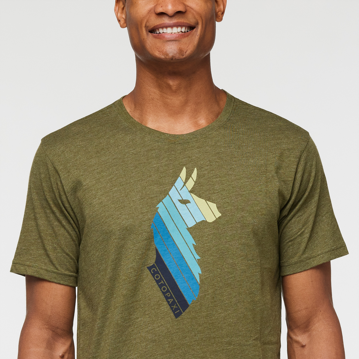 Llama Stripes T Shirt Men's - Image 10