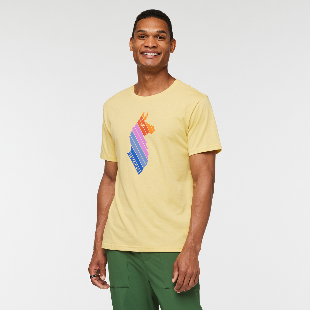 Llama Stripes T Shirt Men's - Image 11