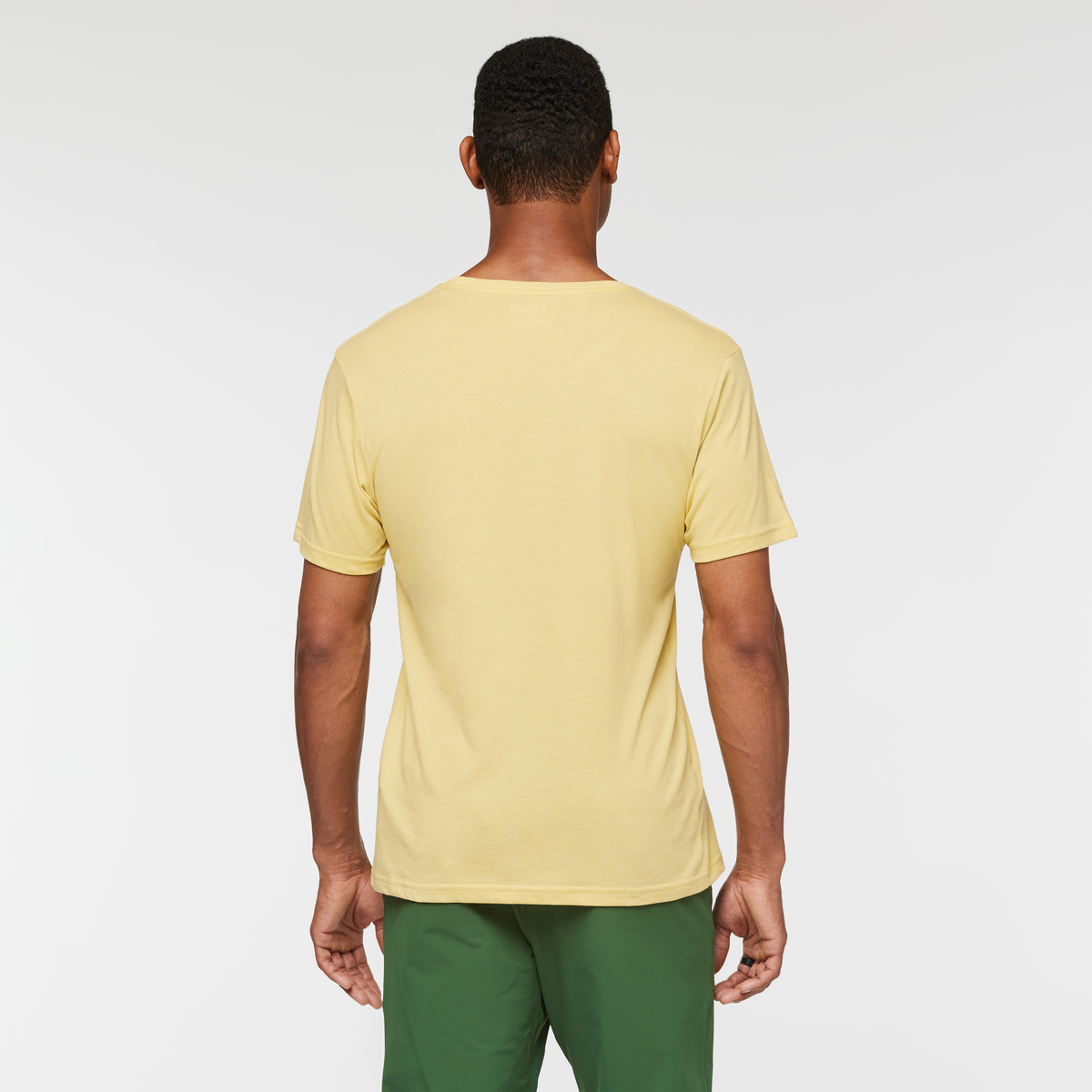 Llama Stripes T Shirt Men's - Image 14