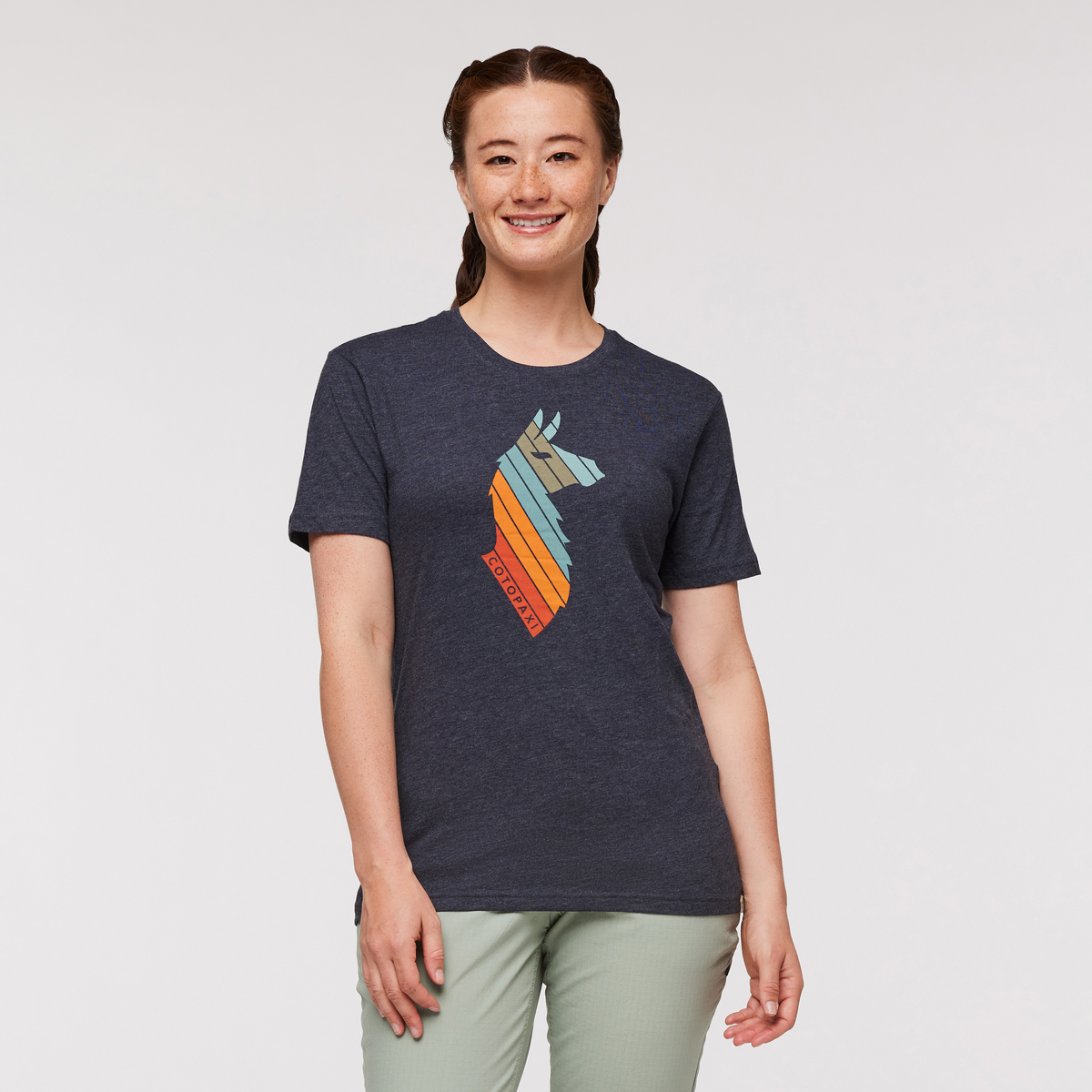 Llama Stripes T Shirt Women's - Image 17