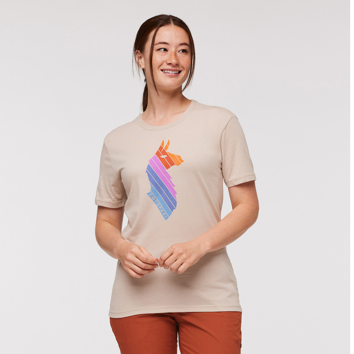 Llama Stripes T Shirt Women's - Image 6