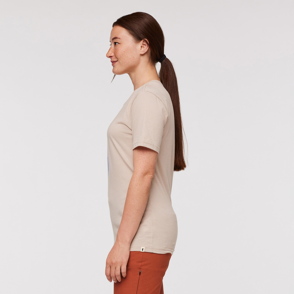 Llama Stripes T Shirt Women's - Image 8