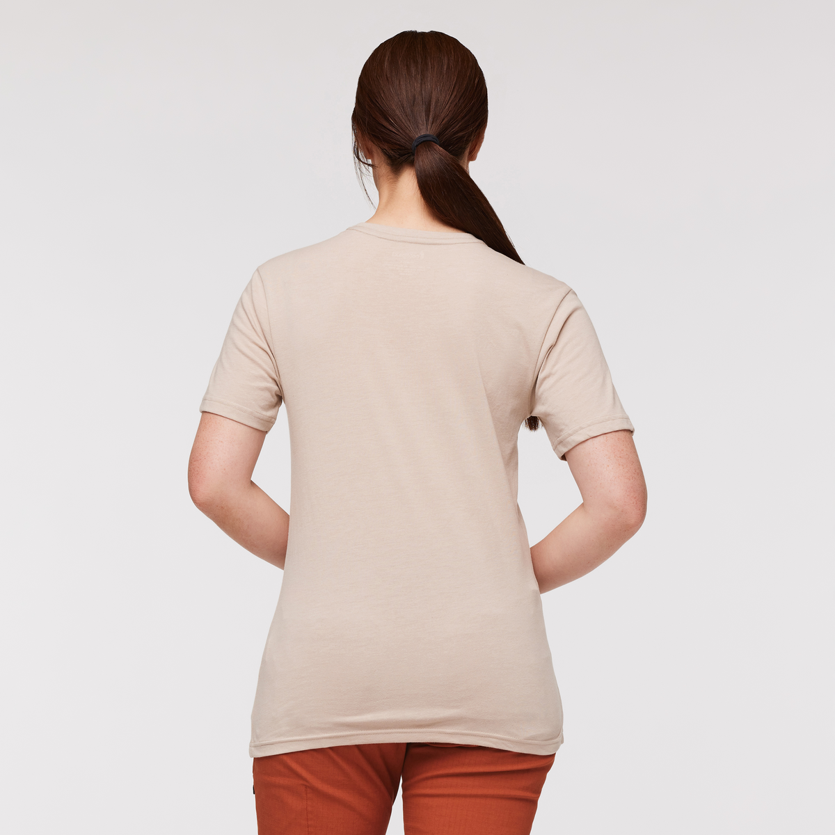 Llama Stripes T Shirt Women's - Image 9