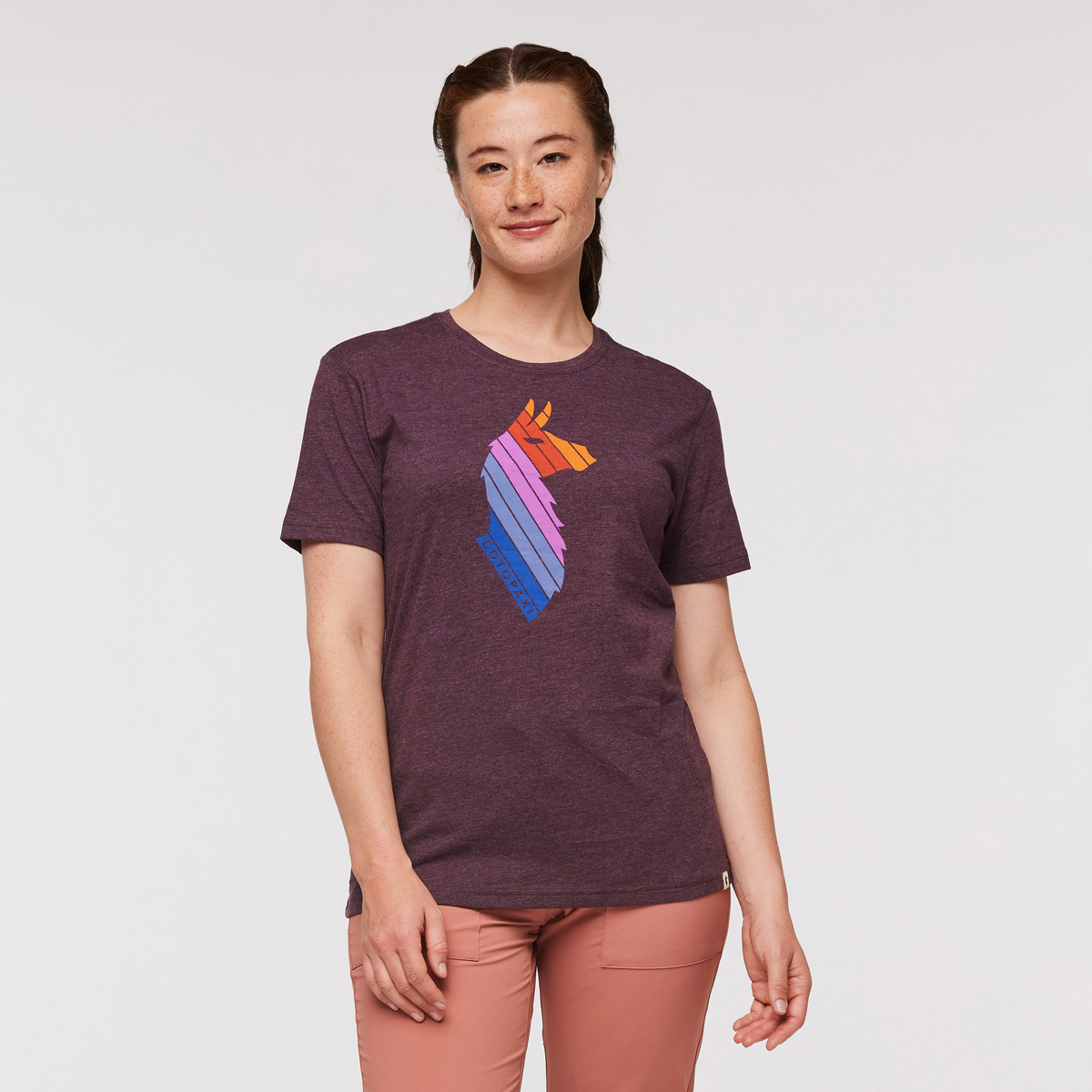 Llama Stripes T Shirt Women's - Image 11