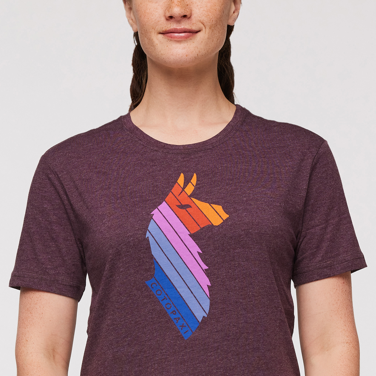 Llama Stripes T Shirt Women's - Image 15