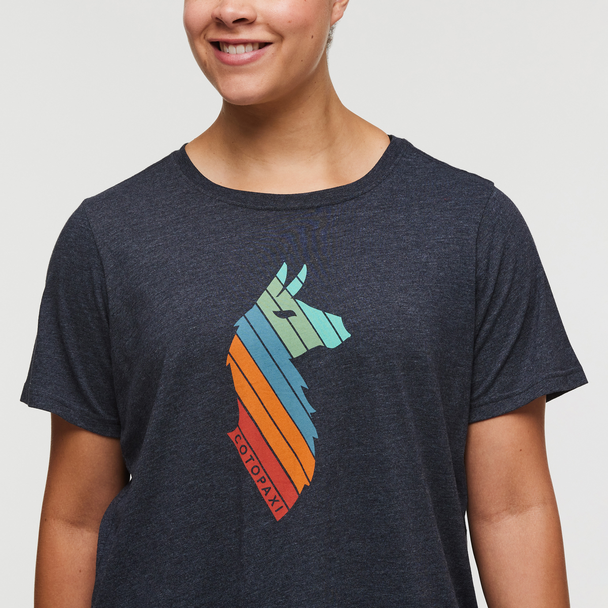 Llama Stripes T Shirt Women's - Image 5
